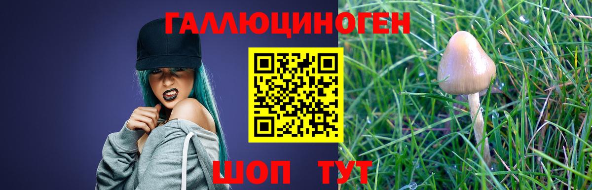 Псилоцибиновые грибы MAGIC MUSHROOMS  наркотики  Ирбит  Вход с VPN 